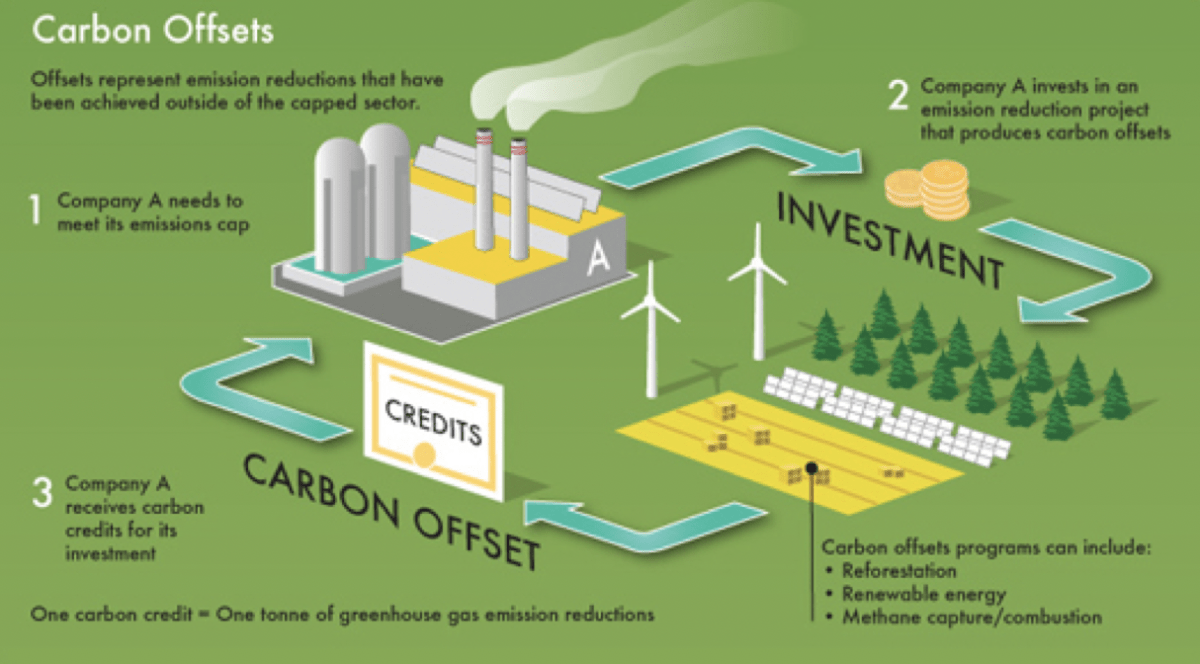 Carbon Credits and How They Can Offset Your Carbon Footprint